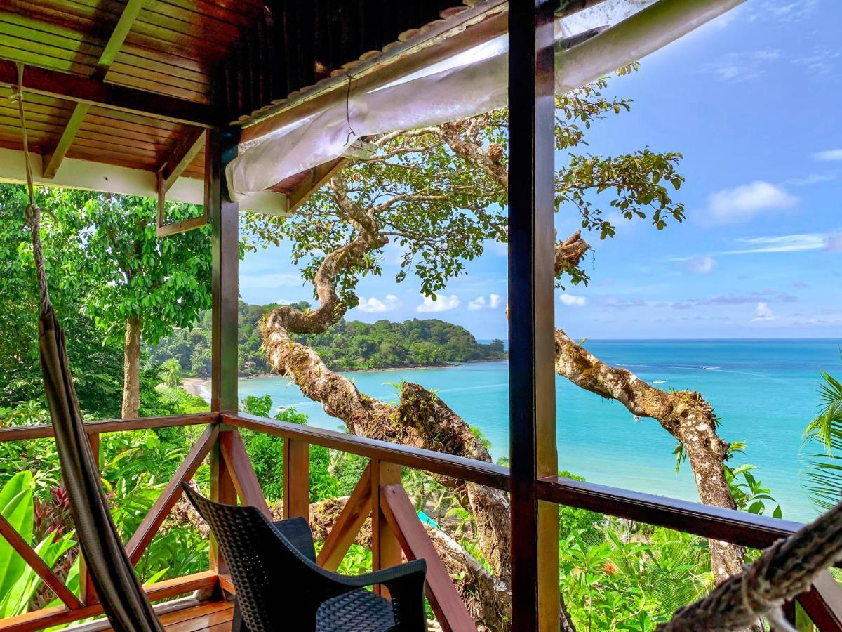 Cotingas Ocean View *