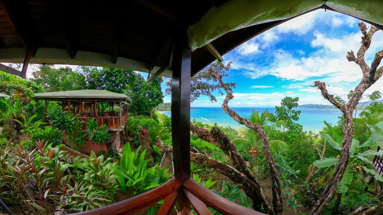 Cotingas Ocean View Lodge *
