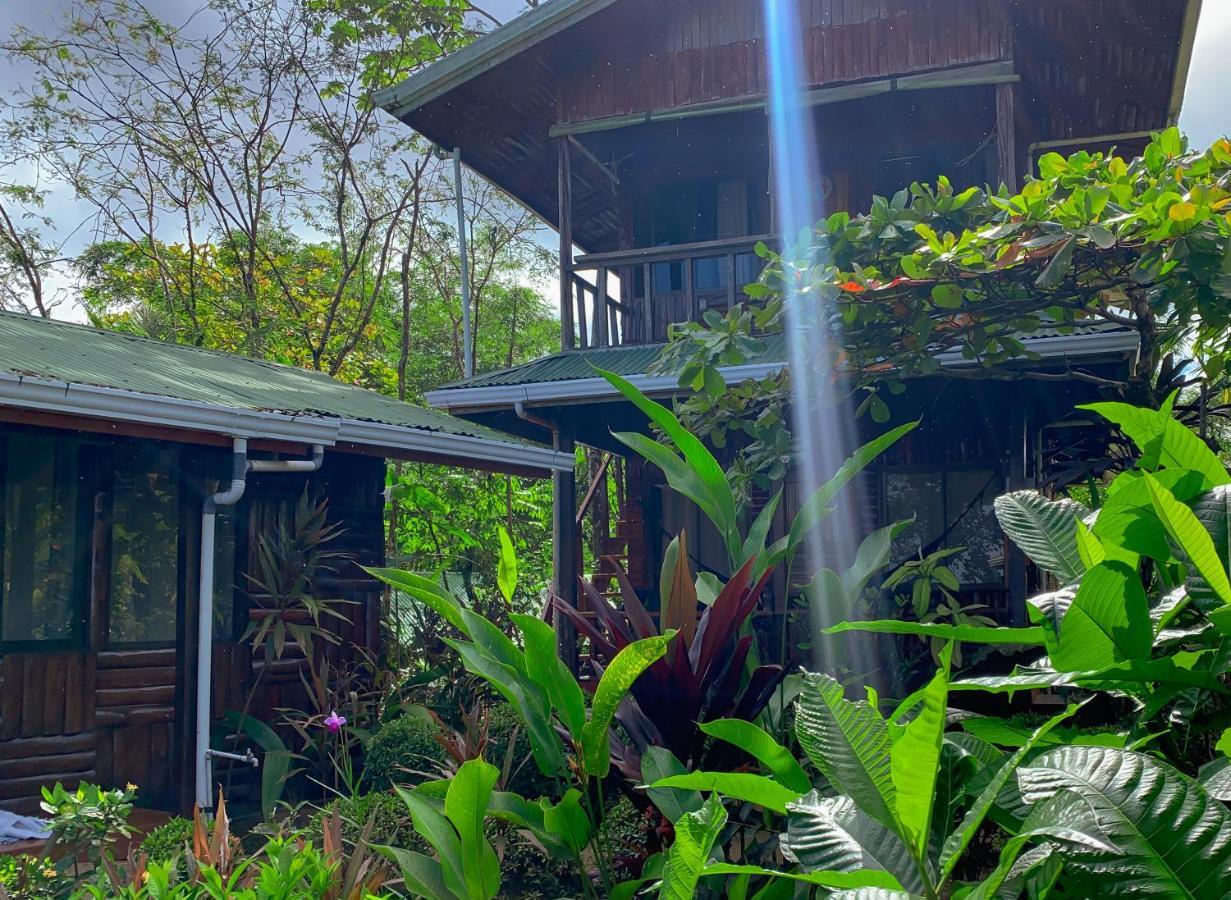 Lodge Cotingas Ocean View Drake Bay