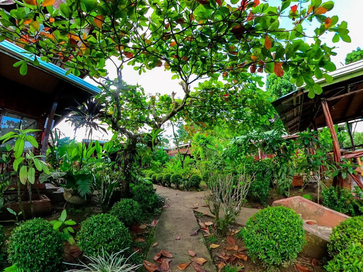 Lodge Cotingas Ocean View *
