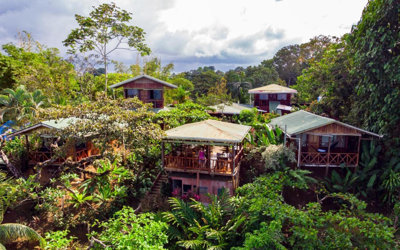Cotingas Ocean View Lodge Drake Bay