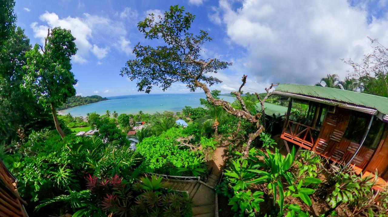Cotingas Ocean View Drake Bay