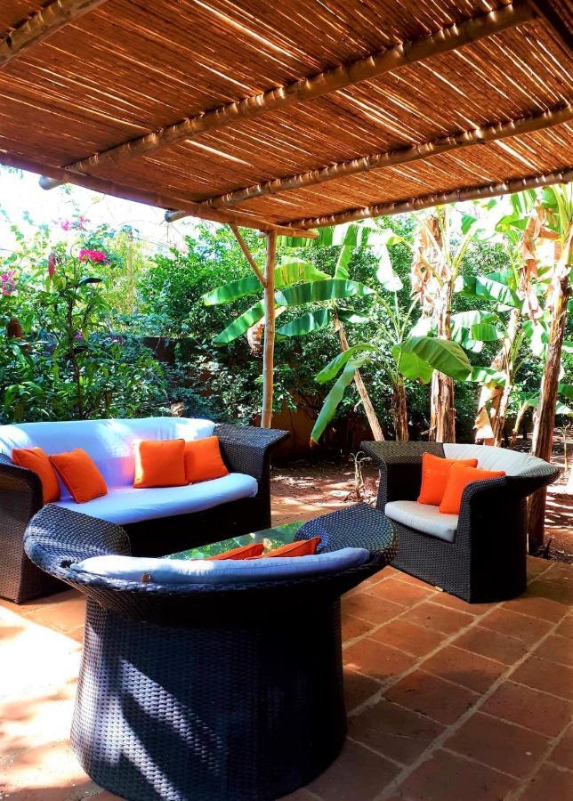 Casa Mapache