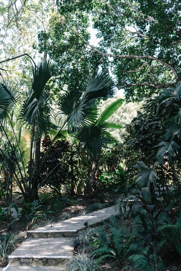 Star Mountain Jungle & Horse Ranch Bed & Breakfast
