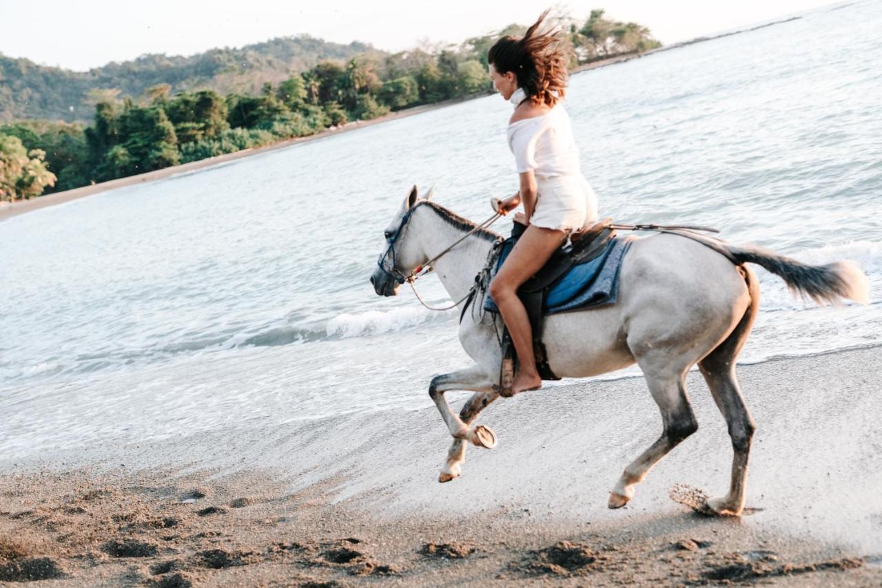 Bed & Breakfast Star Mountain Jungle & Horse Ranch 3*