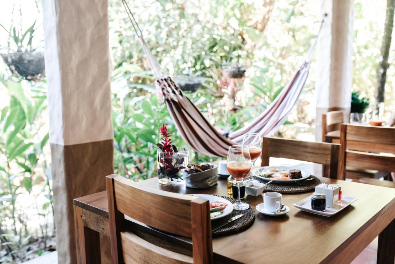 Bed & Breakfast Star Mountain Jungle & Horse Ranch