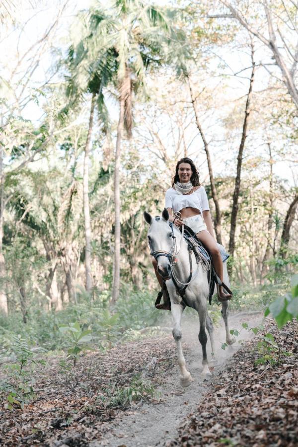 Star Mountain Jungle & Horse Ranch Bed & Breakfast Malpais