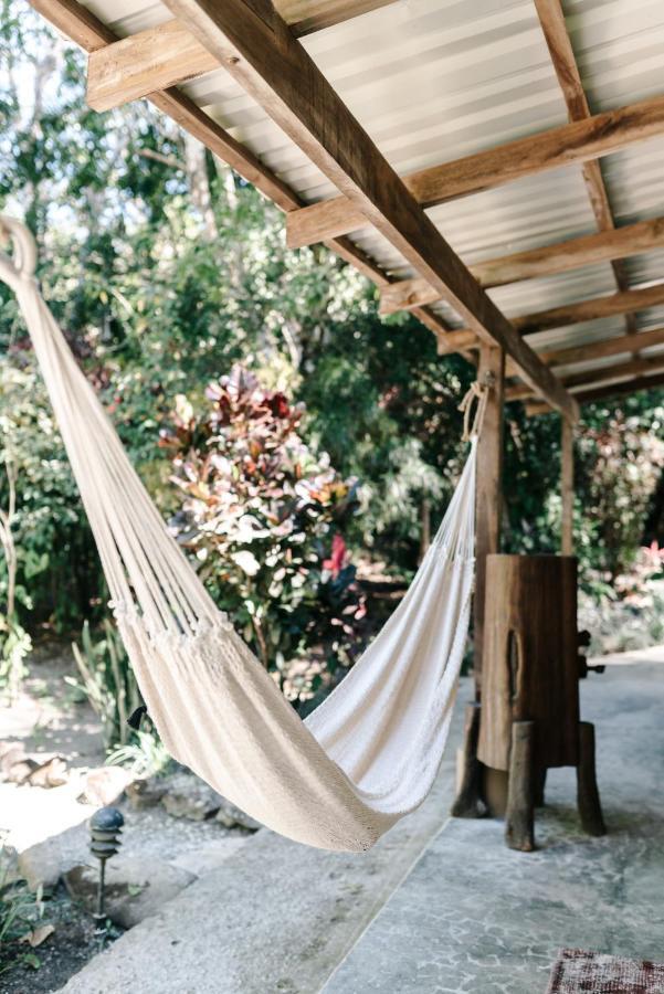 Star Mountain Jungle & Horse Ranch