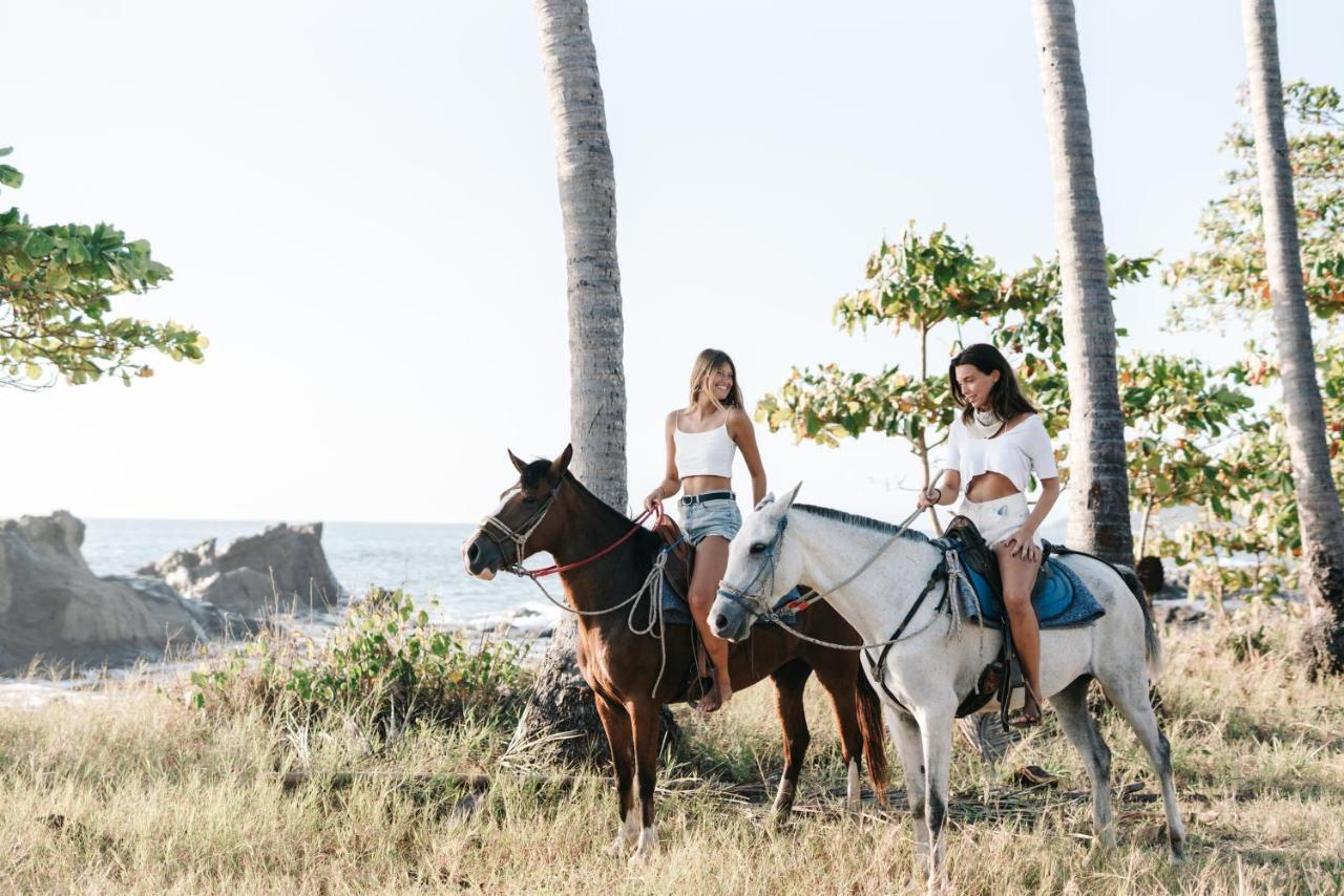 Star Mountain Jungle & Horse Ranch Bed & Breakfast 3*