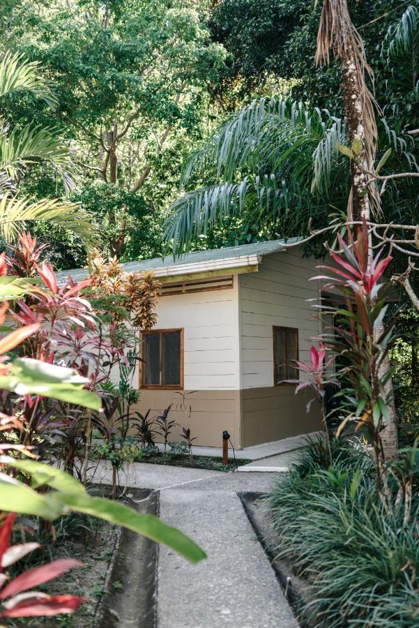 Bed & Breakfast Star Mountain Jungle & Horse Ranch Malpais