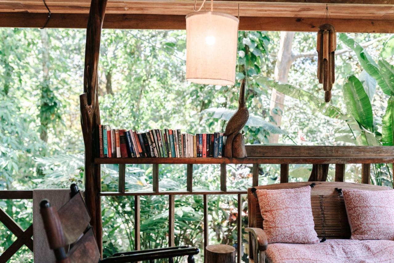 Star Mountain Jungle & Horse Ranch Bed & Breakfast