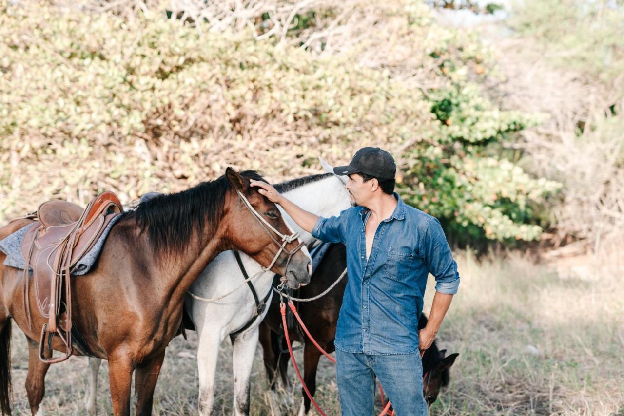 Bed & Breakfast Star Mountain Jungle & Horse Ranch Malpais