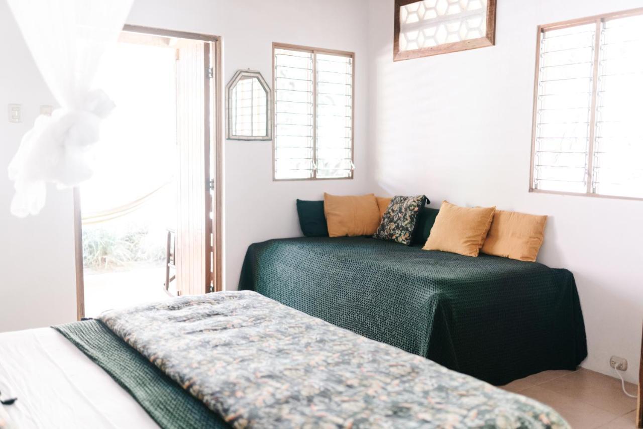 Bed & Breakfast Star Mountain Jungle & Horse Ranch
