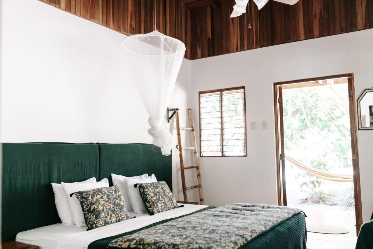 Bed & Breakfast Star Mountain Jungle & Horse Ranch