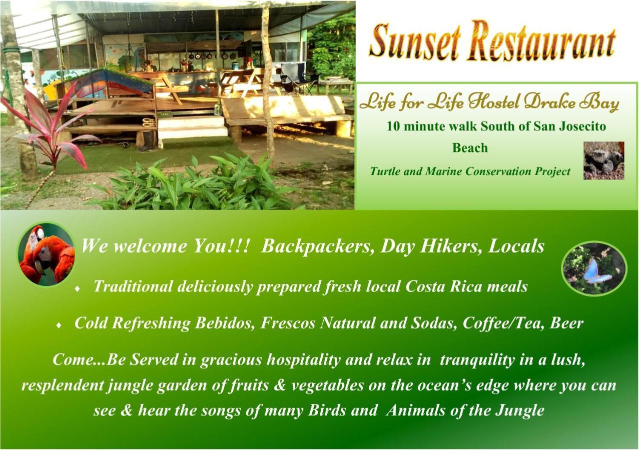 Life For Life Hostel: Sea Turtle Conservation At Hostel