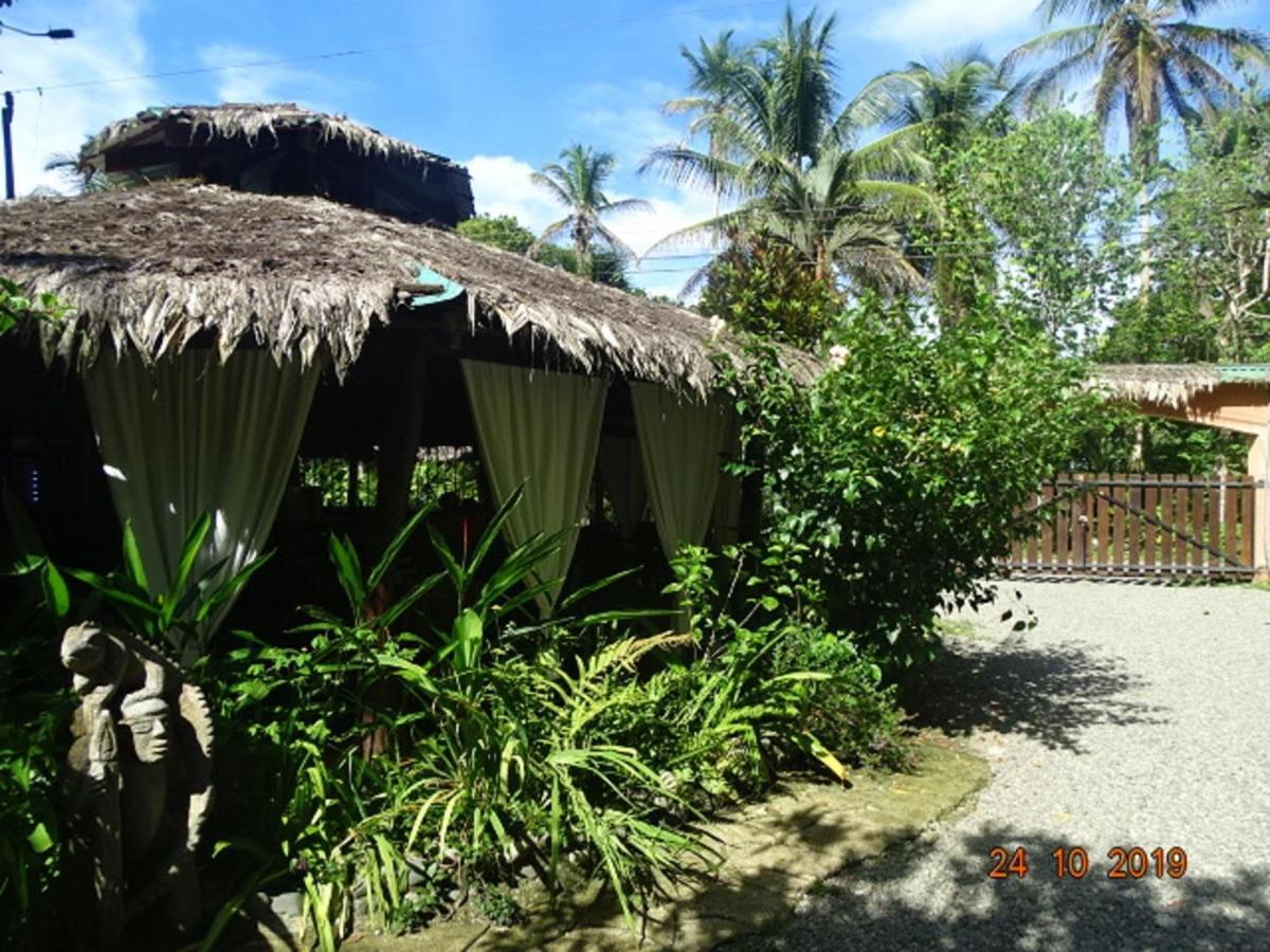 Caribbean Coconut 2* Cahuita