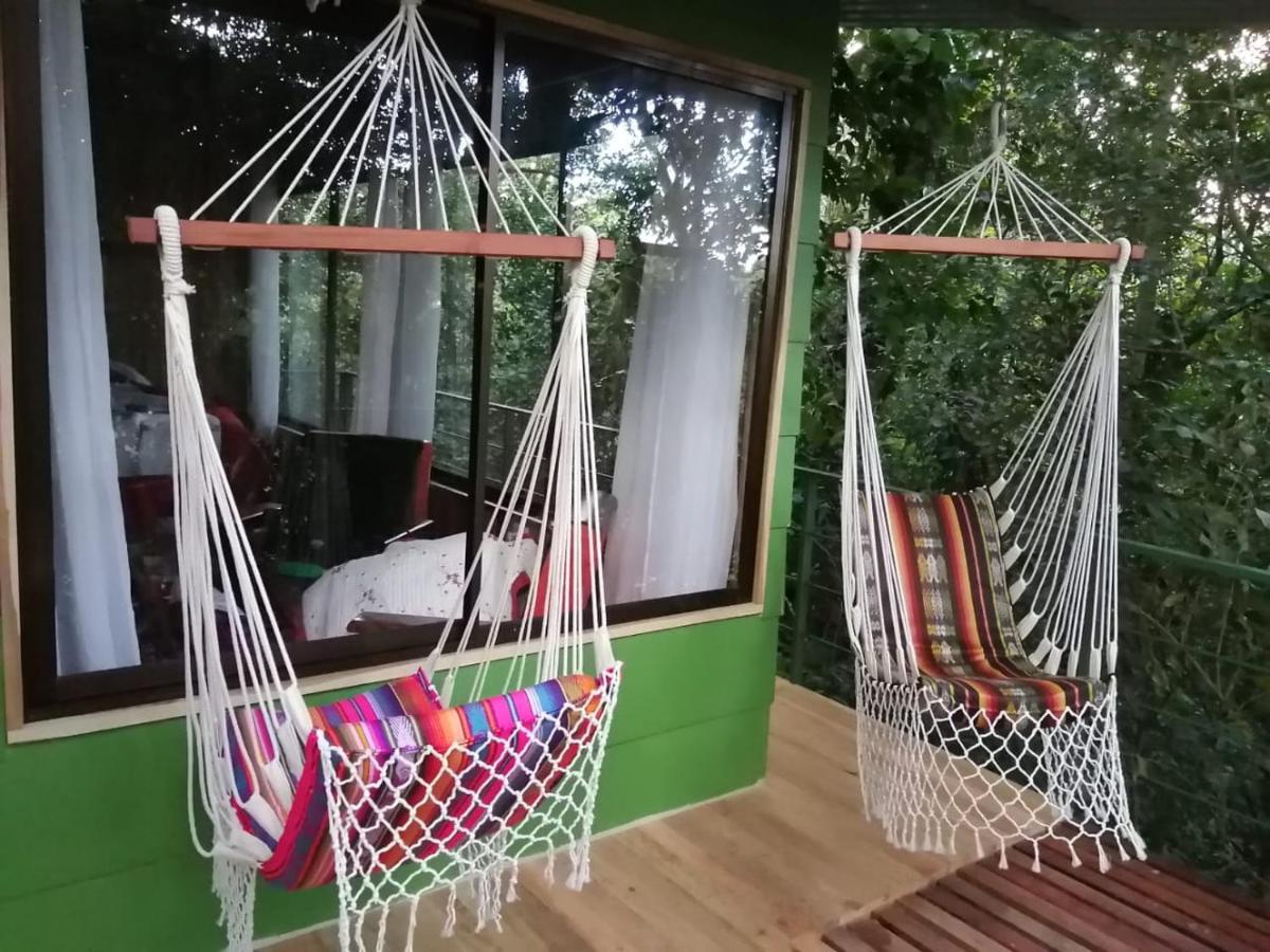 Jungle Living Tree Lodge *