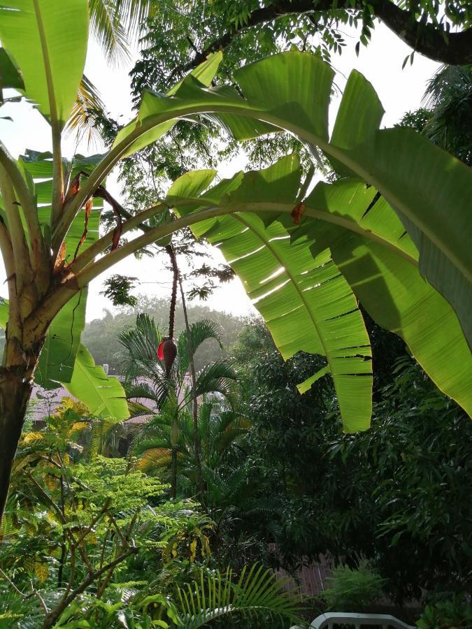 Hotel Guiones Nosara
