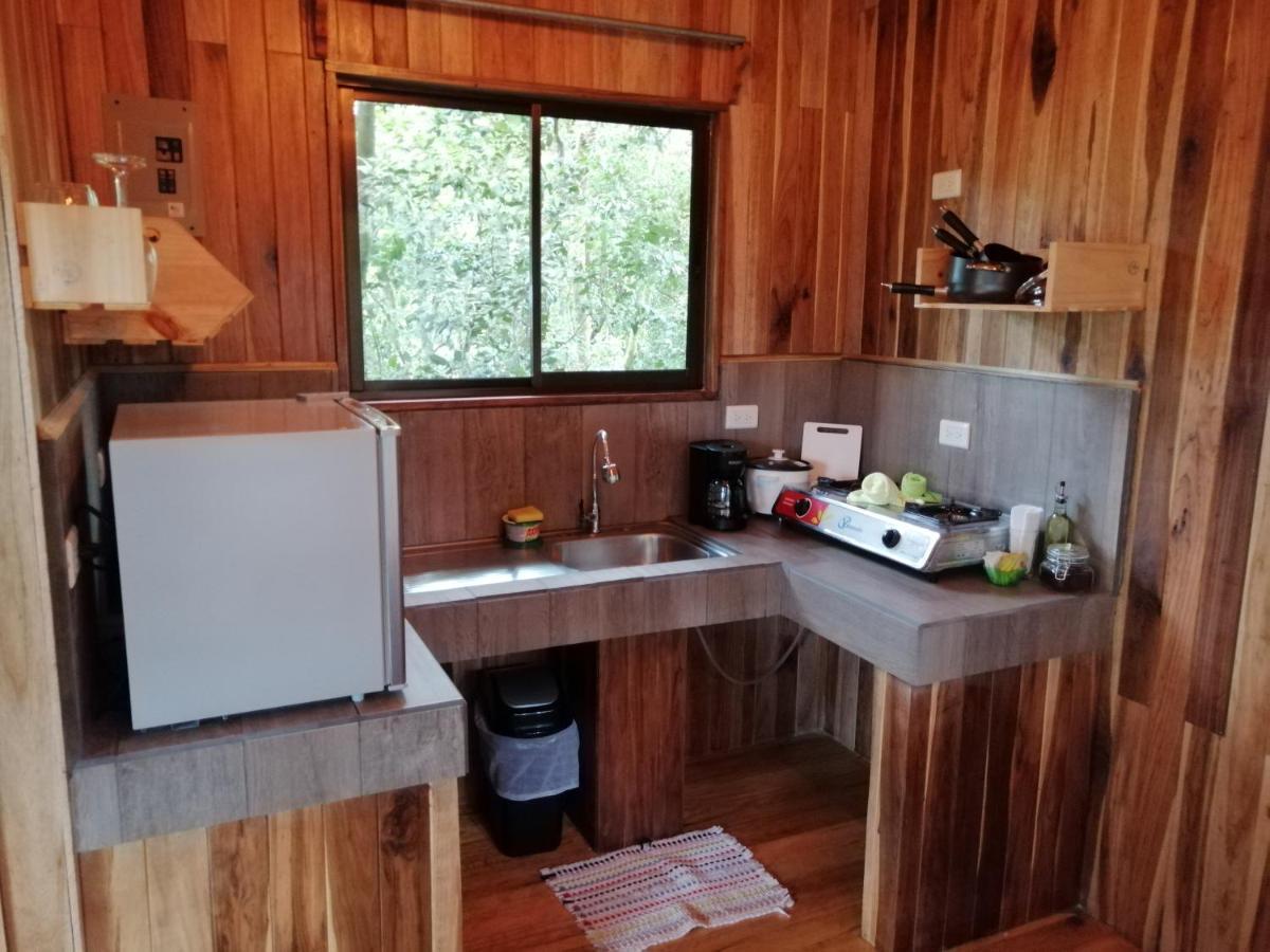 Jungle Living Tree Lodge *