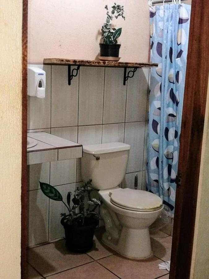 Cahuita Lodge Apartment