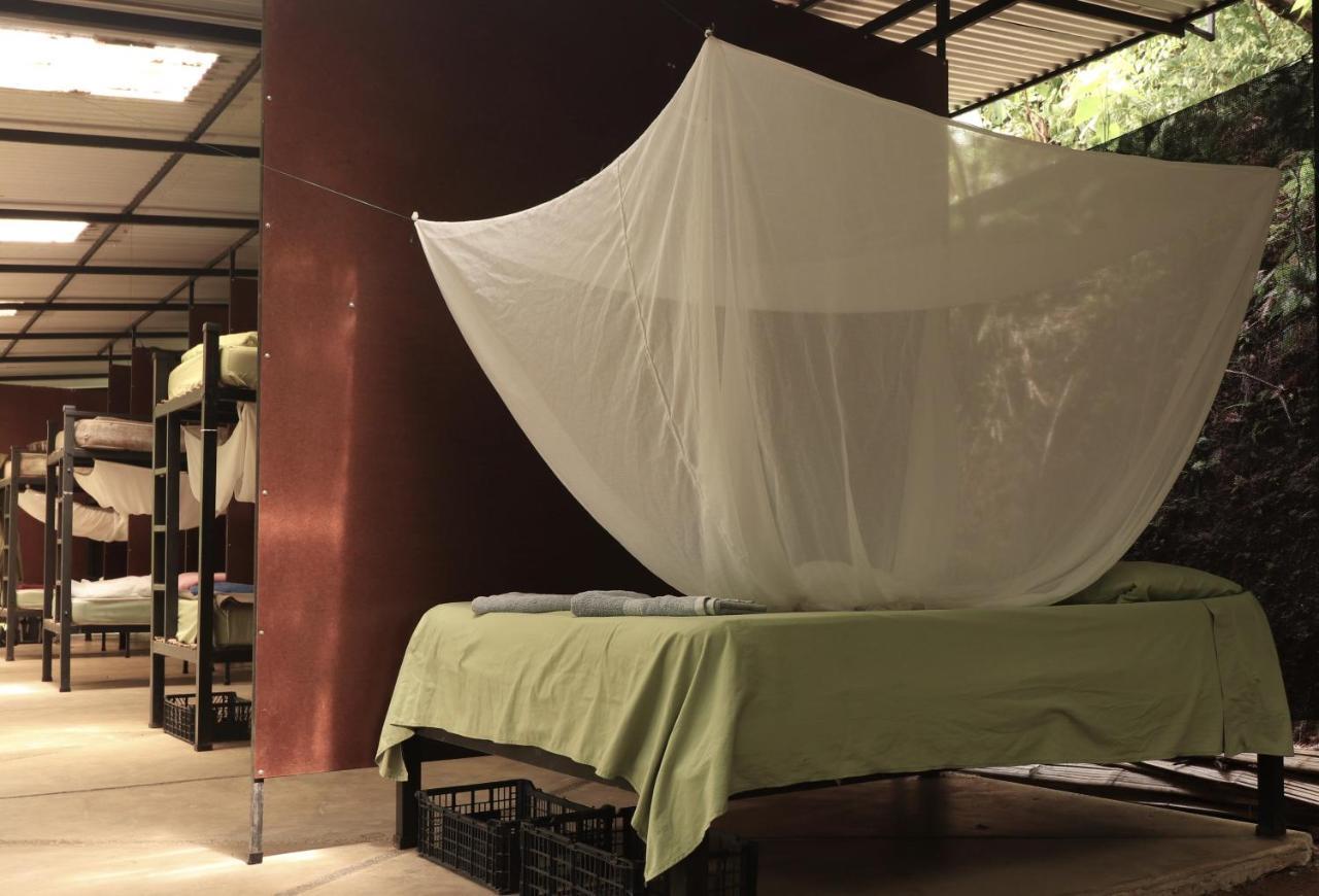 Hostel Bolita Trails And