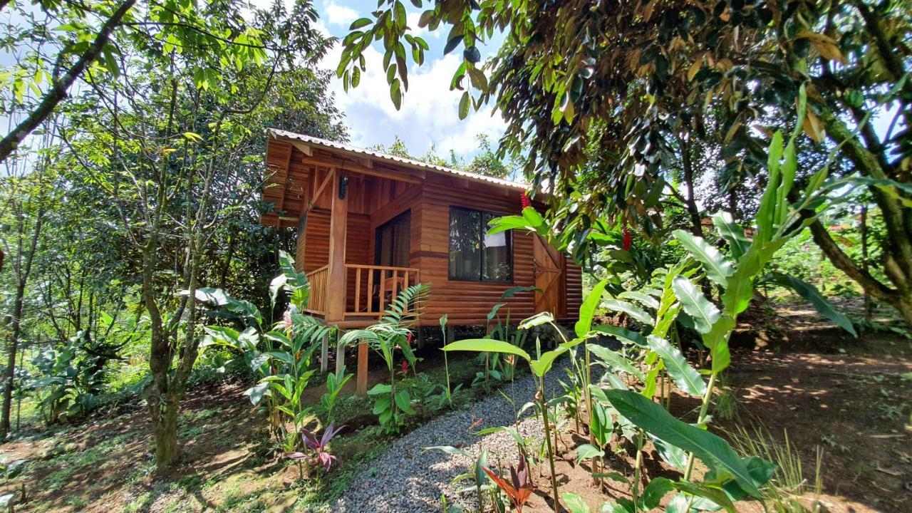 Arenal Rustic *