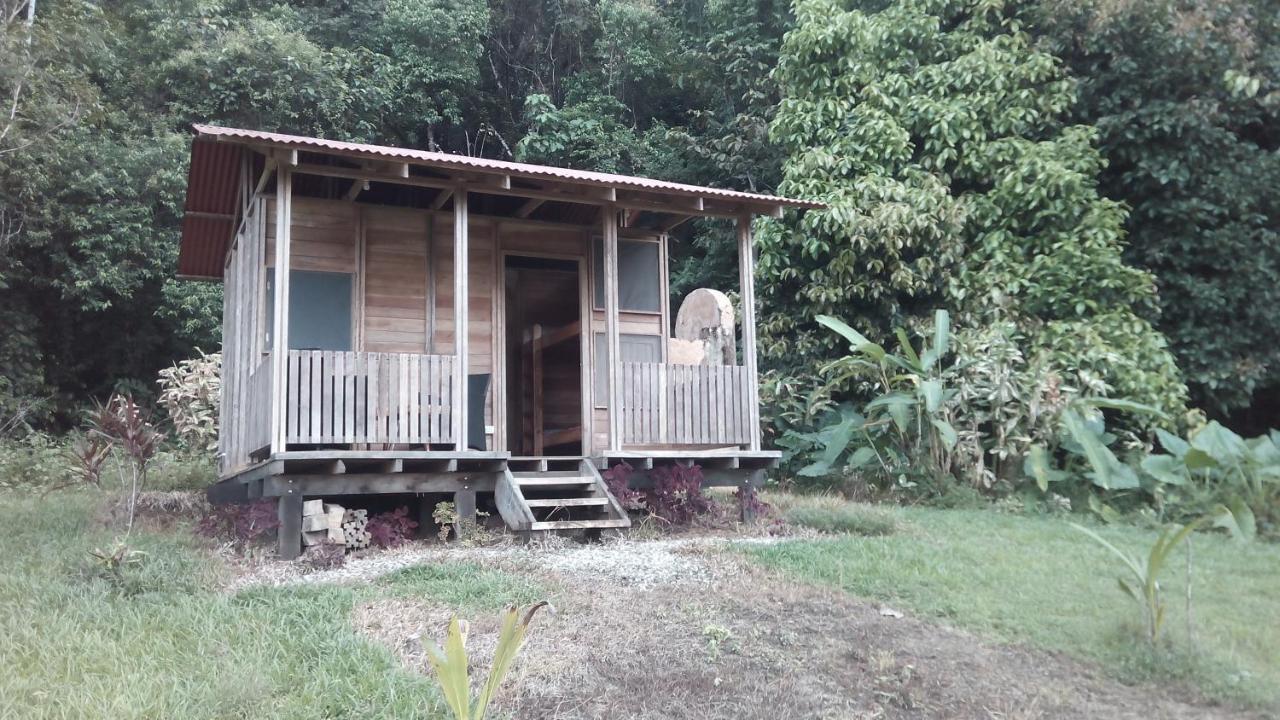 Hotel Sueno De Osa *