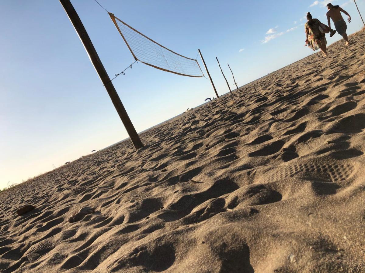 Casa Aura: Beachfront Premium Hostel *