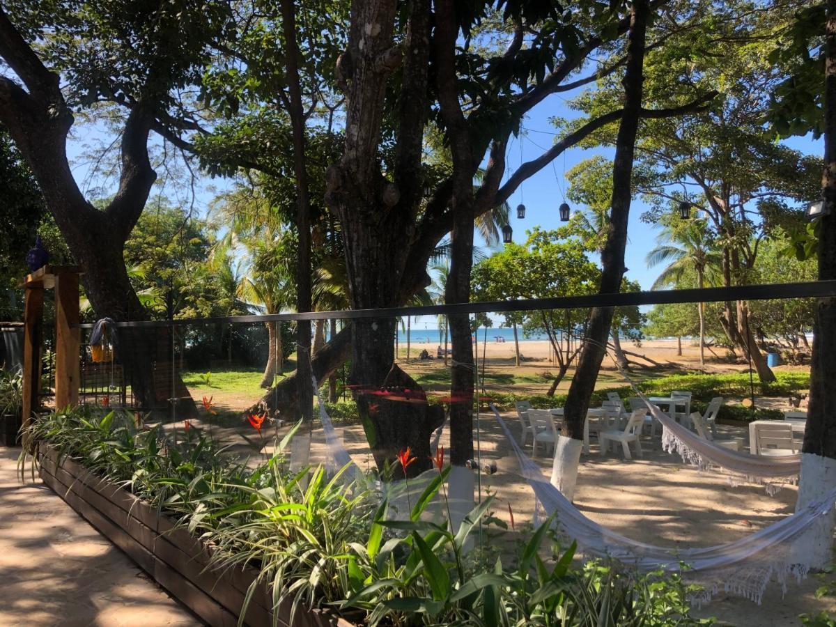 Casa Aura: Beachfront Premium Hostel Tamarindo