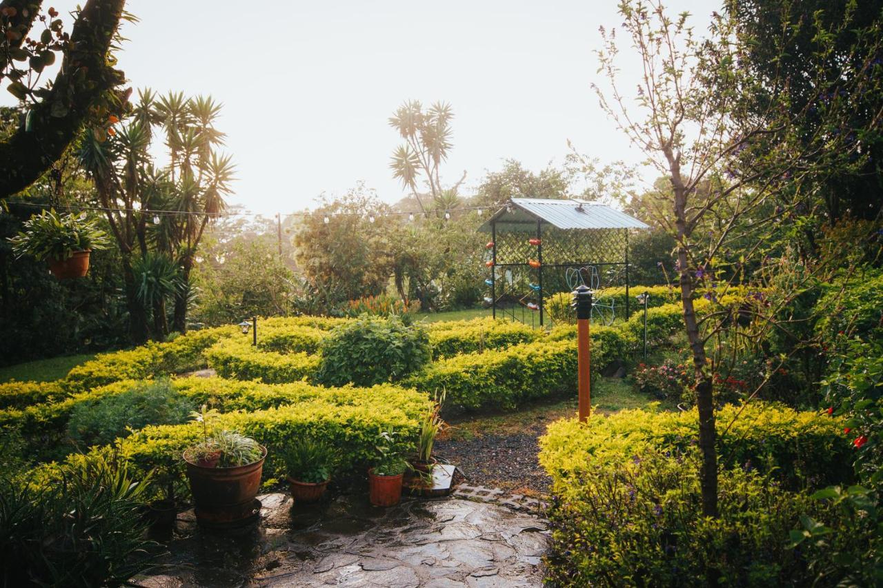 Holistico Hotel 3*