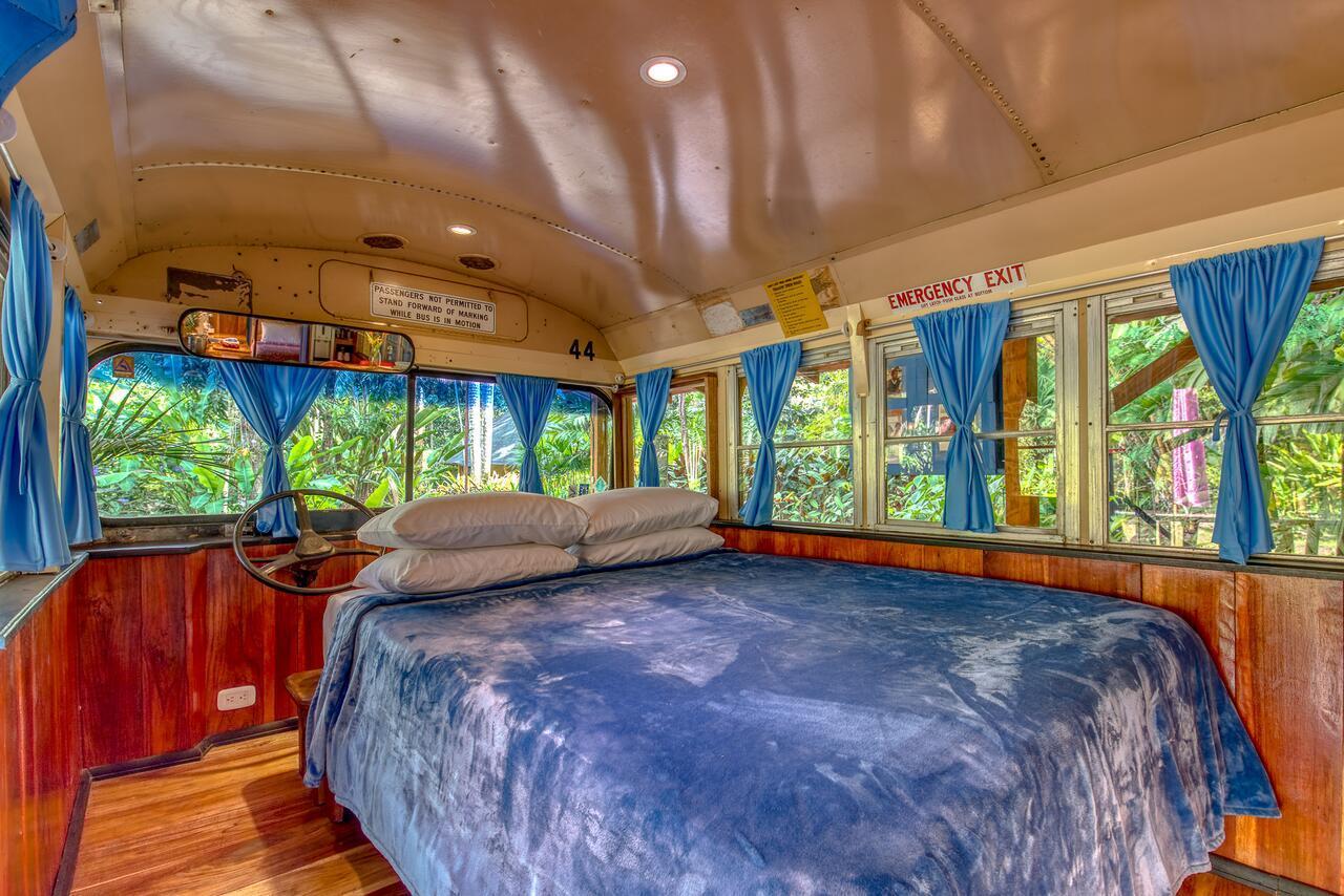 Lodge Tree House Beachfront *