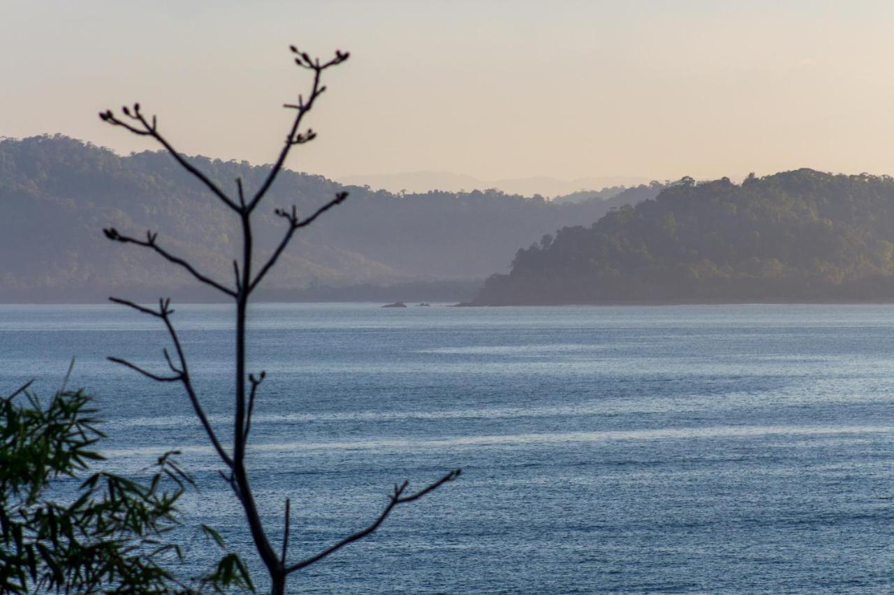 Las Caletas * Drake Bay