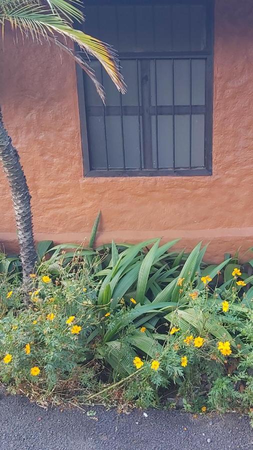 Hotel Monte Campana Heredia Birri