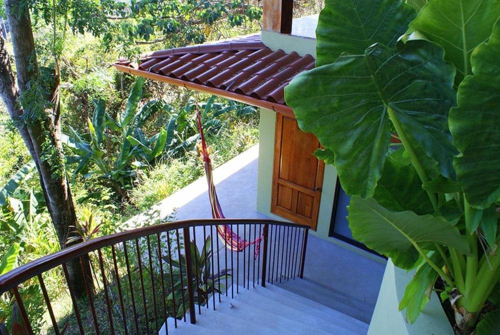 Anamaya Montezuma