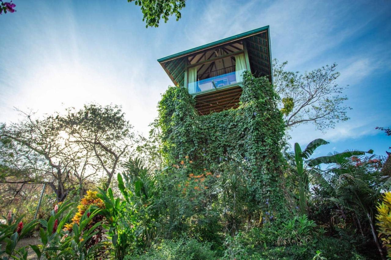 Anamaya Montezuma