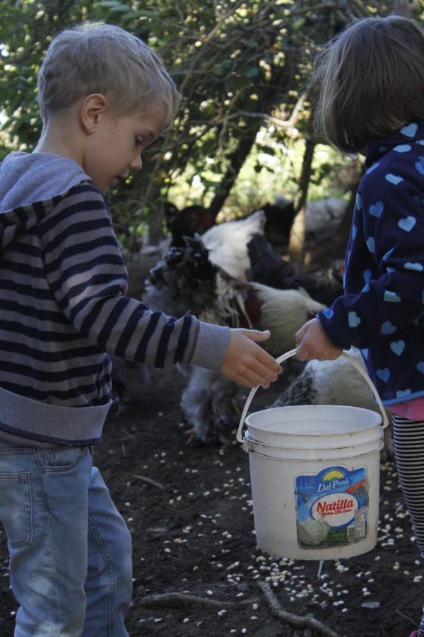 Farm stay Cabinas Capulin & Farm *