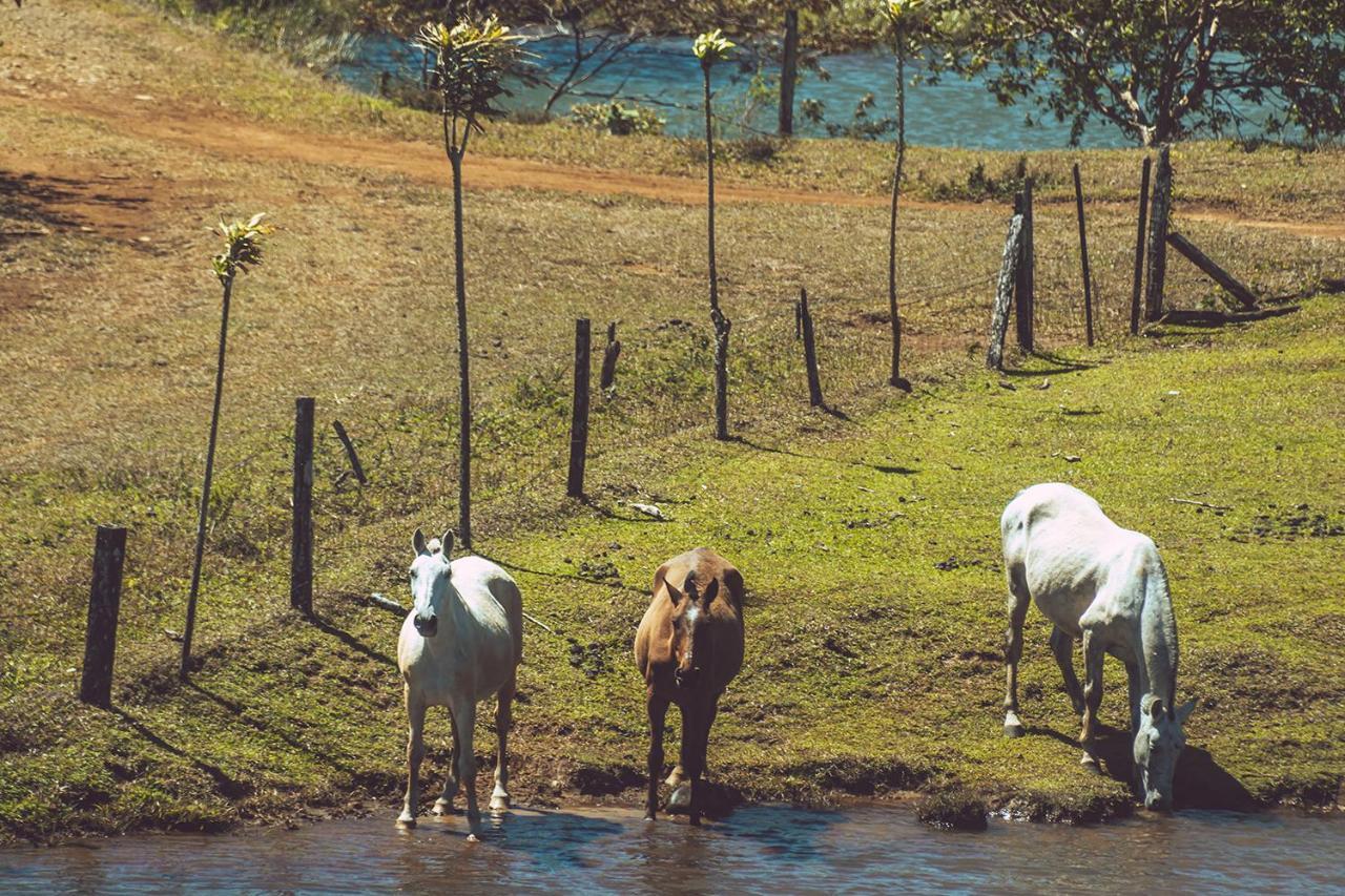 Termales Del Bosque & Hot Springs Hotel La Marina