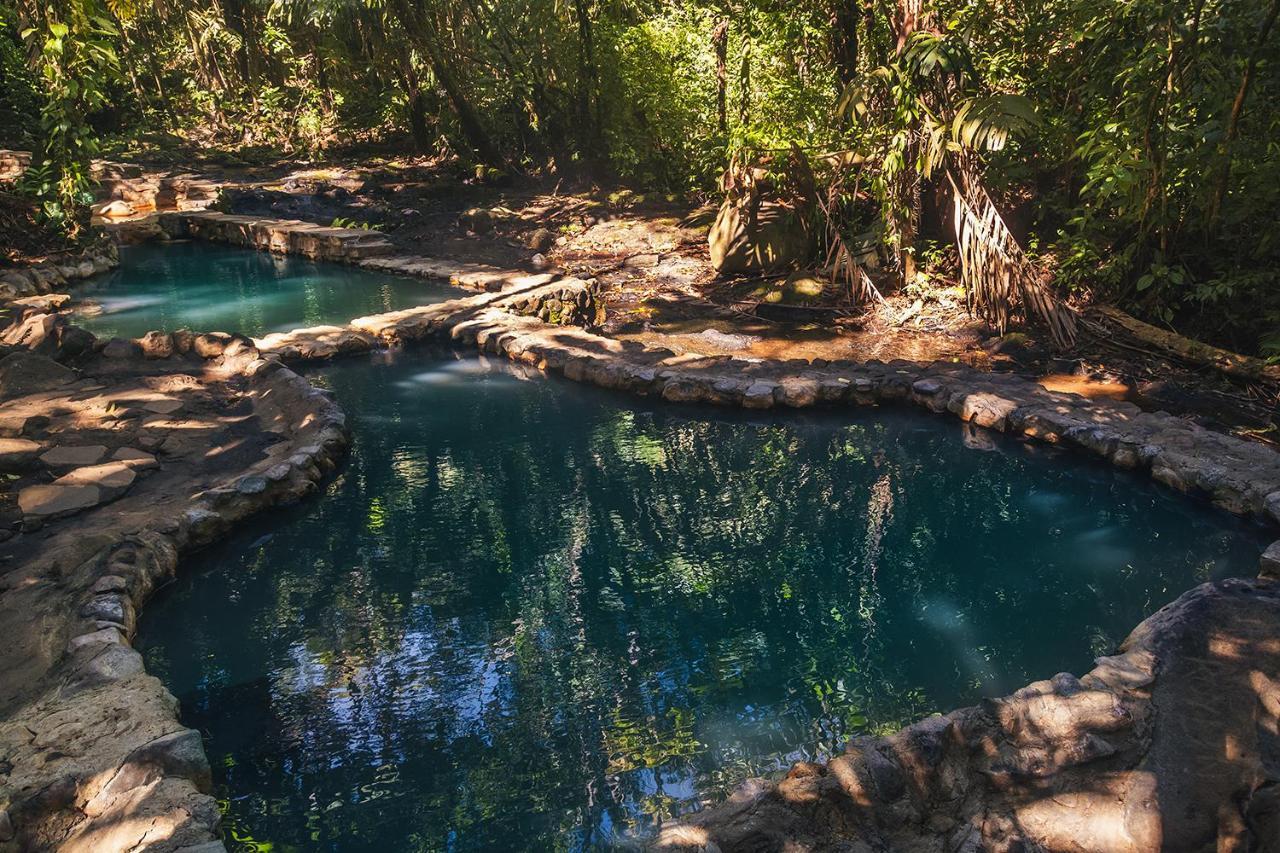 Termales Del Bosque & Hot Springs Hotel La Marina