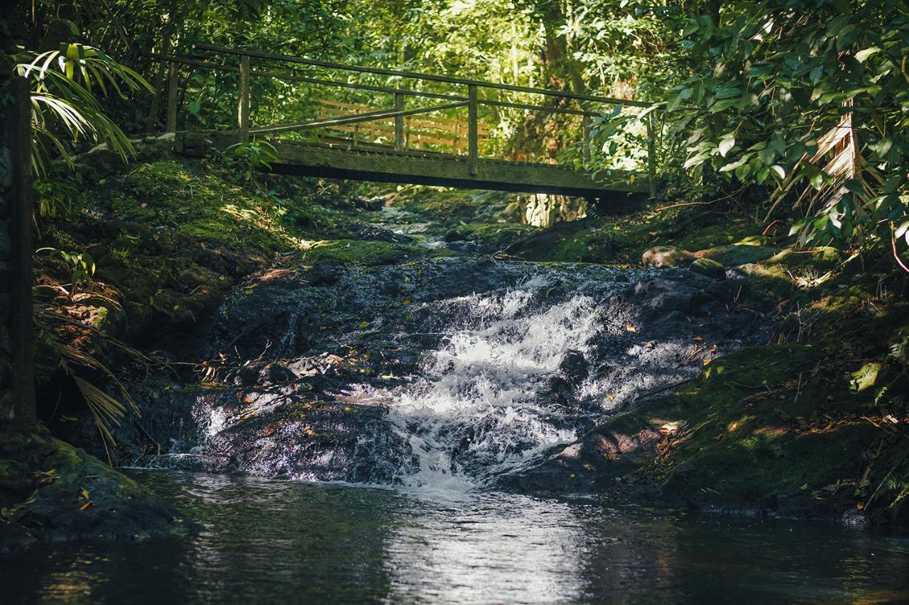 Termales Del Bosque & Hot Springs