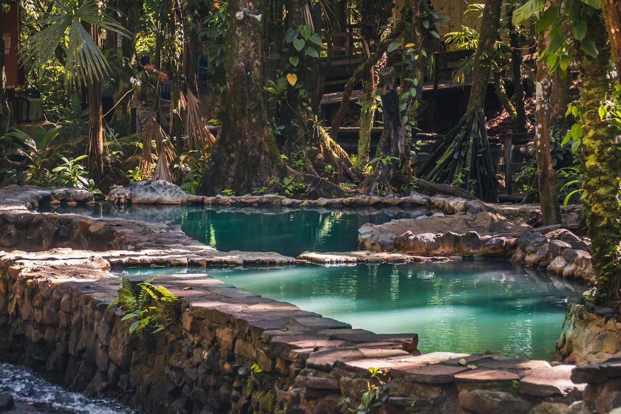 Hotel Termales Del Bosque & Hot Springs La Marina