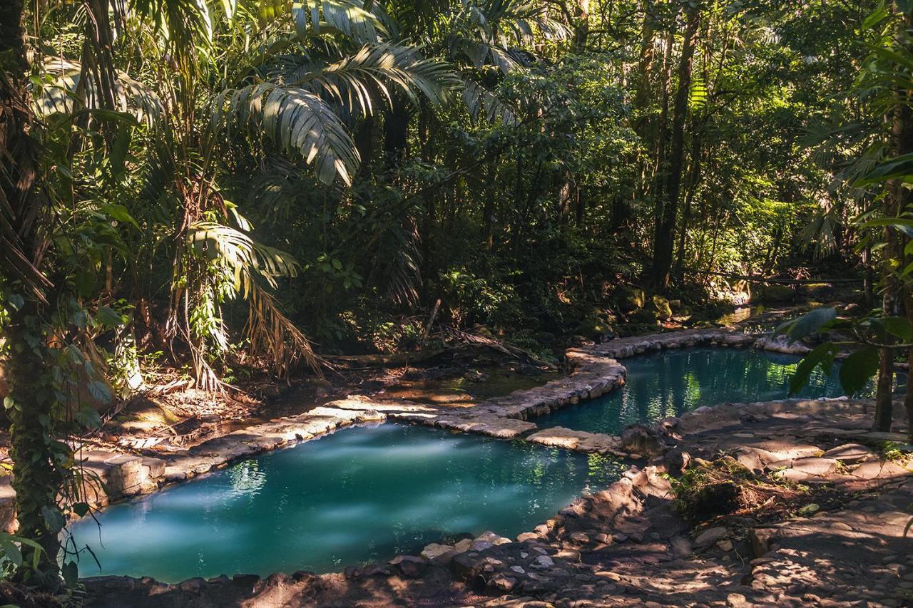 Termales Del Bosque & Hot Springs Hotel