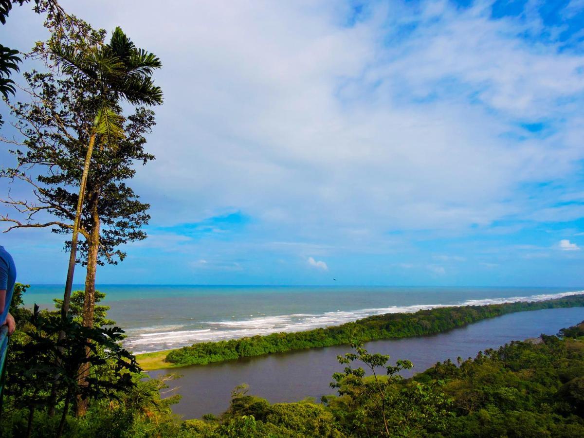 Hotel Beachfront Tortuguero