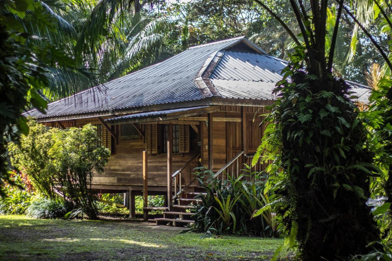 Lodge Casa Viva Puerto Viejo de Talamanca