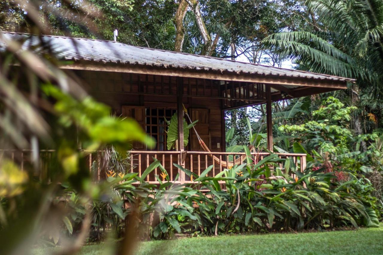 Casa Viva Lodge Puerto Viejo de Talamanca