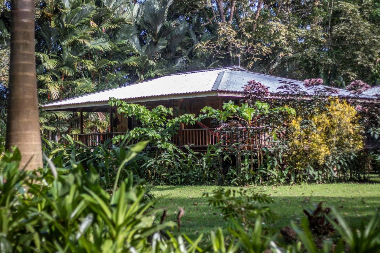 Casa Viva Lodge *