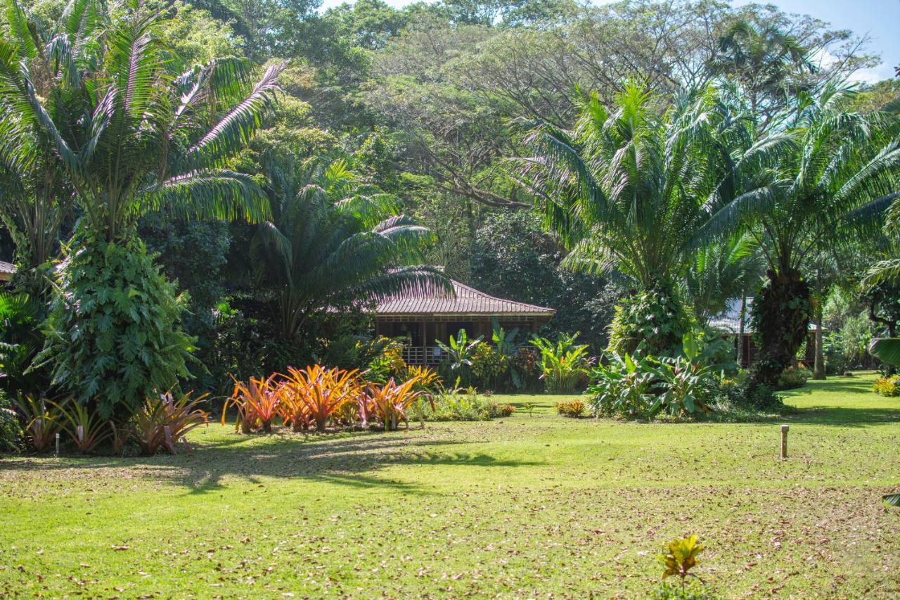 Casa Viva Lodge Puerto Viejo de Talamanca