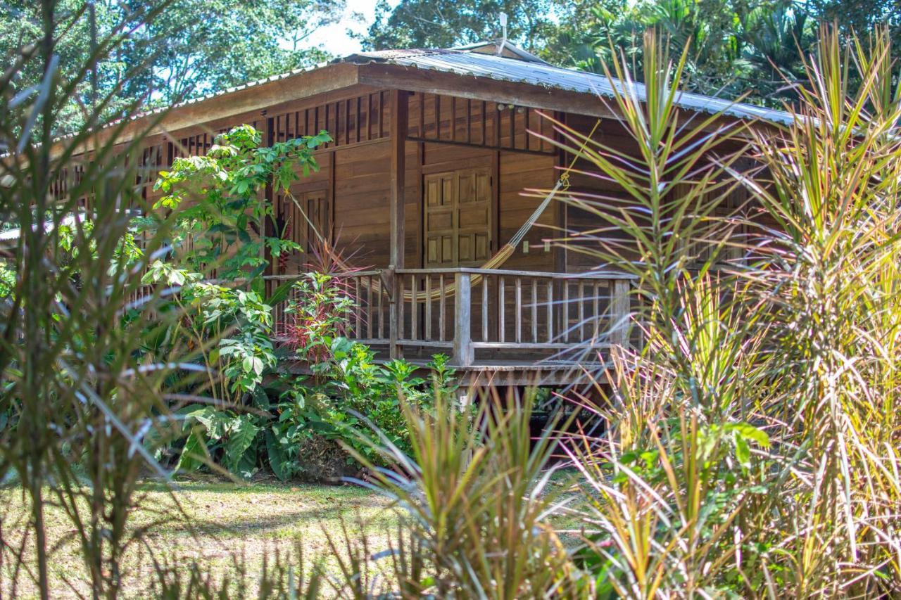 Lodge Casa Viva *