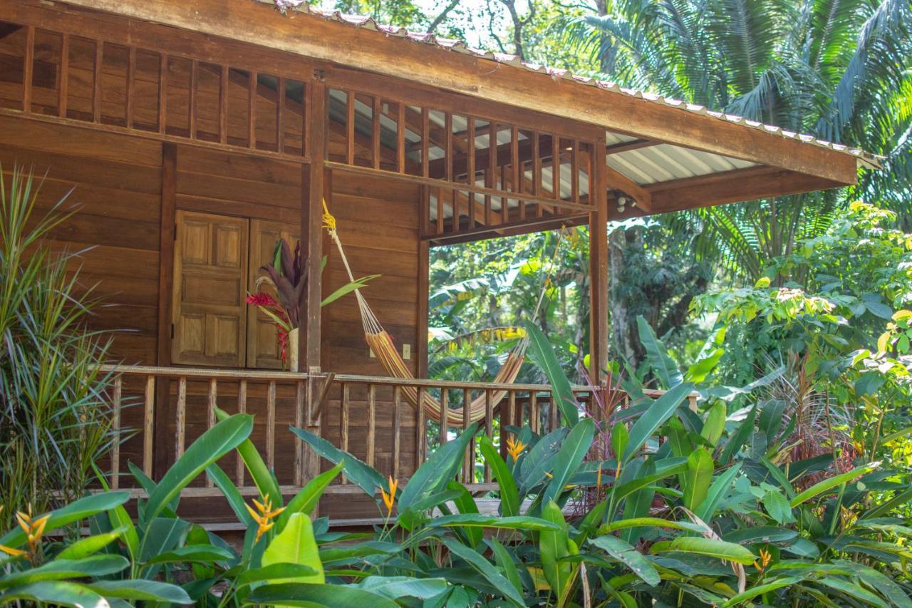 Casa Viva * Puerto Viejo de Talamanca