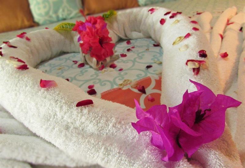 Magellan Boutique Inn Cahuita