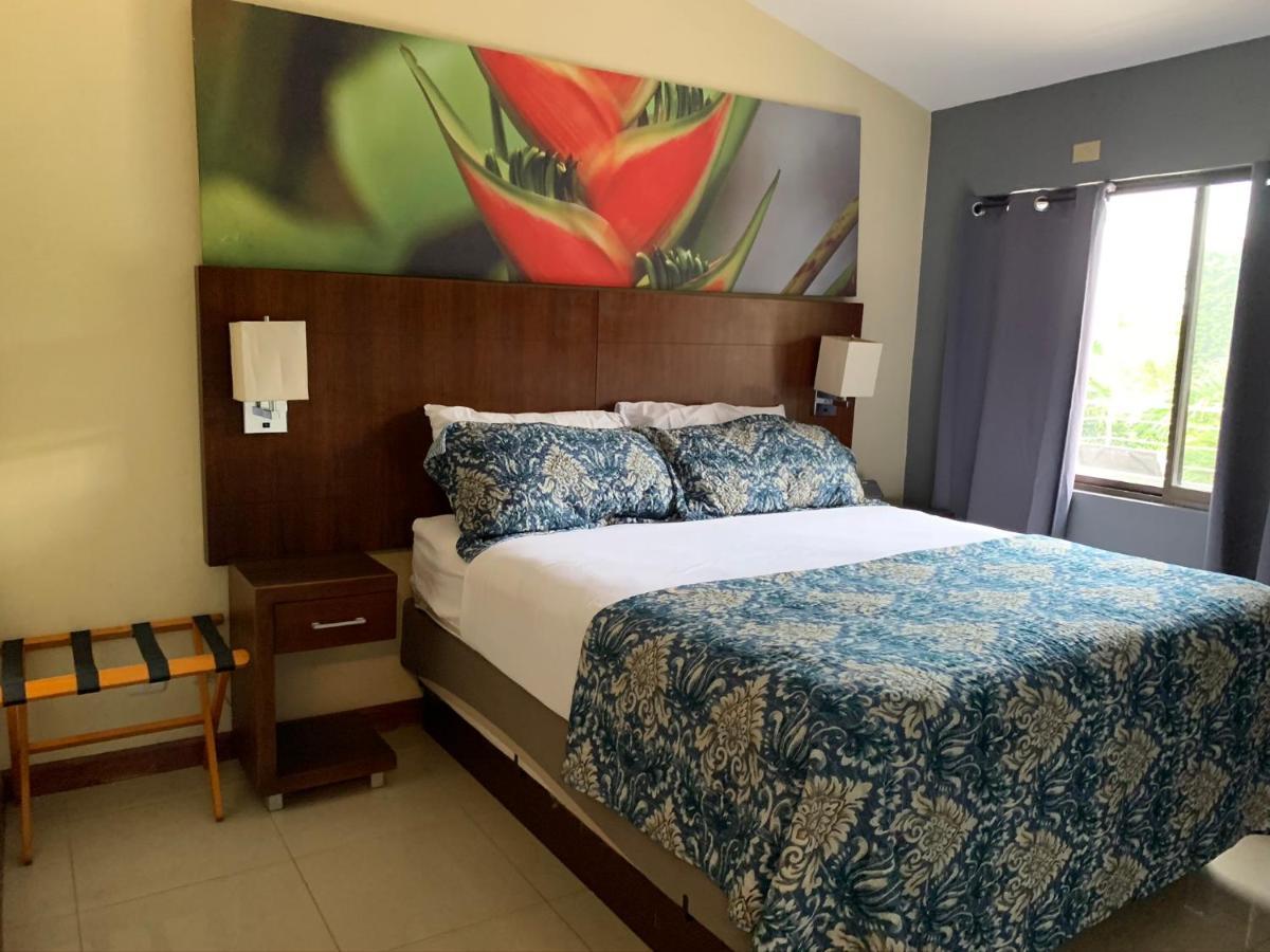 Sol Quadplex 11a Jaco